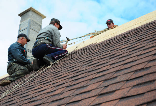 Best Local Roofing Companies  in University At Buffalo, NY